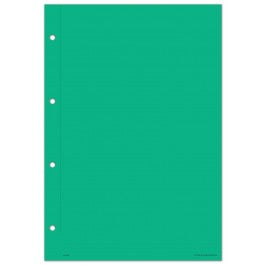 A.F.S. 12B Working Paper Covers - Green