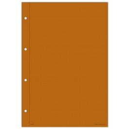 A.F.S. 15B Working Paper Covers - Brown